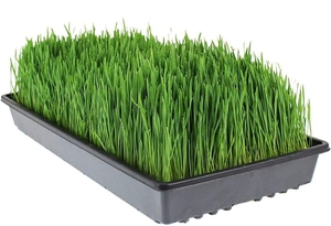 100% phân hủy sinh học thủy canh microgreen gai phát triển Thảm vải không dệt đay nhà máy thủy sản sợi Mat trong nhà hoặc ngoài trời sử dụng - Product Image 3