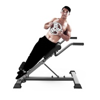 Ayarlanabilir Ticari Roma Taburesi Bank Koltuğu Dayanıklı Çelik Çerçeveli Sırt Kalça Kasları Hamstring Egzersizi Ev Spor Salonları Fitness Ekipmanları için