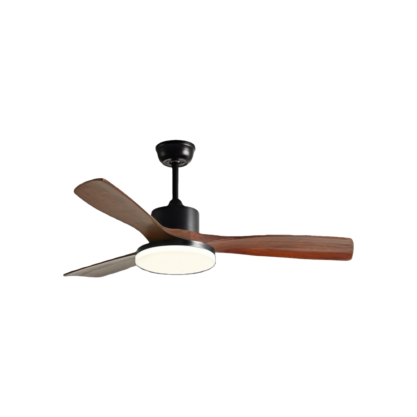 Black Walnut 36 inches