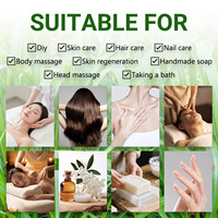 Vente en gros d'huile essentielle naturelle biologique de citronnelle aromatique à base de plantes Fourniture d'usine pour bougie Diffuseur de parfum Raffermissant la peau