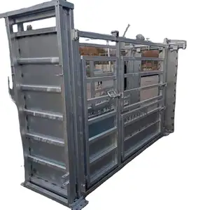 Customized Cattle Crush Farm Equipment Sorrting Function Belt Weighing System Headlock Panels Squeeze Chute Equipment Handling