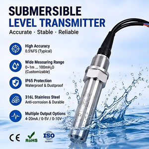 Capteur de niveau d'eau submersible fiable pour navire, acier inoxydable 316L, 4-20 mA, plage personnalisée, capteur de niveau marin IP65 - Product Image 2