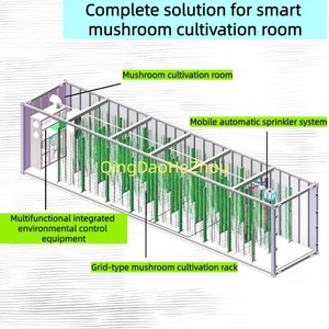 Sistema Hidropónico de Cultivo Vertical de Hongos HEZHOU, Invernadero Inteligente Automático de 40 Pies, Caja de Cultivo para Granja - Product Image 2