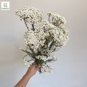 Mini ramo de flores secas de arroz, tamaño Real de alta calidad, con tallo Natural fresco, decoración eterna para el hogar - Product Image 4