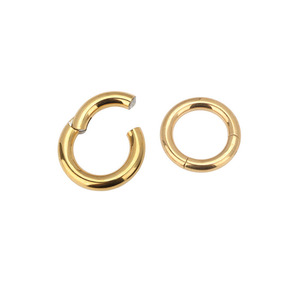 Phẫu Thuật Thép 316L Hoop Nhẫn Mũi Nhẫn Kích Thước Lớn Đồ Trang Sức Clicker Phân Khúc Nhẫn Bán Buôn - Product Image 2