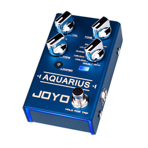 Pedal de Delay para Guitarra JOYO R-07, 8 Efectos de Delay Digitales, 5 Minutos de Looper, Pedal Multimodo con Funciones de PLAY/<span class=keywords><strong>DUB</strong></span>/STOP/DELETE - Product Image 2
