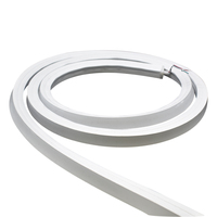 Éclairage Bandes lumineuses néon à pixels longues 30m 50m 25*25mm LED numérique pour grands espaces Classé IP67 pour l'aménagement paysager