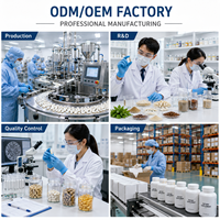 Formules personnalisées OEM ODM sous marque privée : Poudre protéinée pour enfants au chocolat, lactosérum de vache nourrie à l'herbe, colostrum, choline – Compléments nutritionnels quotidiens