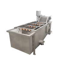 Industriële commerciële fruit- en groentewasmachine met motor en aandrijving, multifunctionele reinigingsapparatuur