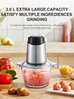 Robot culinaire électrique 500W SUS PP (Hachoir à viande multifonctionnel en acier inoxydable de qualité supérieure, vitesse variable, bouton poussoir)