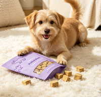 YOUYI Sac d'emballage pour croquettes pour chien 1kg 2kg 5kg, pochette autoportante anti-perforation avec fermeture éclair, OEM
