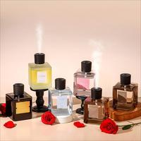 Botella Difusora de Aceites Esenciales Naturales de 500 ml con Botón Automático, Decoración, Perfume, Fragancia, Botellas de Aromaterapia para Regalo, Habitación, Oficina