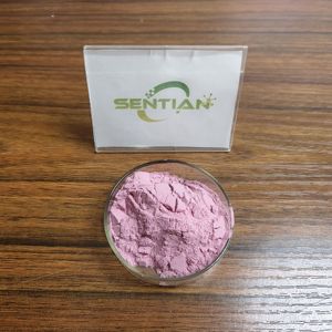 Extrait de racine de taro violet naturel Poudre de taro violet biologique pure - Product Image 2