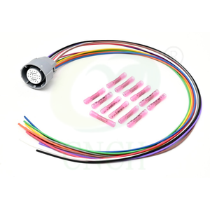 20 Aders 4l60e Transmissieharnas Voor Motoren Van Generatie 3 En 4 1997-Up Ls 94-97 Lt1 Eneines - Product Image 1