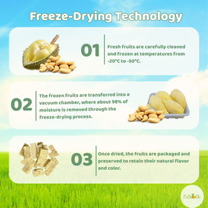 मीठे स्वाद के साथ अद्वितीय और पौष्टिक फ्रीज-सूखे दुरियन नट प्रेमियों के लिए 35 ग्राम वैक्यूम-पैक काजू - Product Image 3