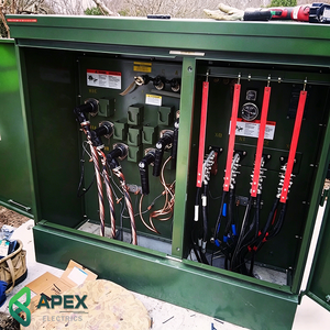 Transformador Trifásico de 300 kVA Montado en Plataforma, 12.47kV a 480V, Alimentación en Bucle, para Uso Residencial y Comercial - Product Image 4