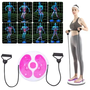 Máquina de entrenamiento de cintura y barriga para gimnasio, distribuidor de discos twister