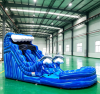 Toboggan aquatique gonflable en PVC sur le thème tropical pour enfants avec piscine extérieure, certifié CE, garantie de 3 ans