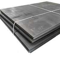 Tôle d'acier laminée à chaud, fer noir HR S235 S355 SS400 A36 A283 Q235 Q345 NM450 NM500, tôle d'acier doux résistante à l'abrasion