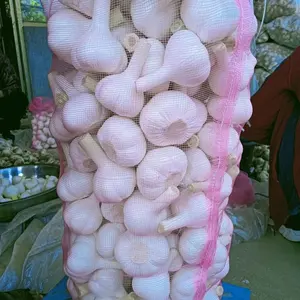 New Crop Chinese Fresh Garlic In Bulk Fresh Normal White Red Garlic Ajos Chino Fresco Alho From Manufacturers Low Price