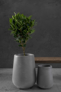 <span class=keywords><strong>Maceta</strong></span> <span class=keywords><strong>de</strong></span> hormigón ligera personalizada, diseño moderno y novedoso, <span class=keywords><strong>maceta</strong></span> <span class=keywords><strong>de</strong></span> lujo - Product Image 5