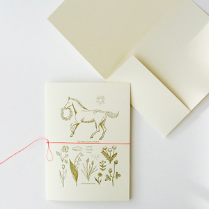 Biểu tượng tùy chỉnh in ấn 300gsm A5 thư mục giấy Thiệp mời tập tin lưu trữ thư mục với Pocket - Product Image 2