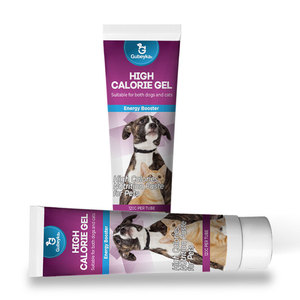 Suplementos para Perros Gubeyka OEM <span class=keywords><strong>de</strong></span> Alta Calidad, Pasta Nutritiva con Aceite <span class=keywords><strong>de</strong></span> Pescado, Multivitaminas y Refuerzo Inmunológico - Product Image 5