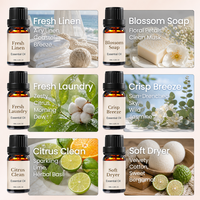 Kit de boules de séchage en laine parfumées, adoucissant naturel réutilisable pour tissus, boules de lavage parfumées aux huiles essentielles