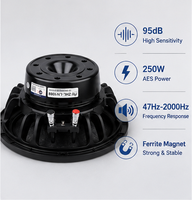 Haut-parleur passif en métal néodyme de 10 pouces, 16 ohms, 250 W RMS, bobine vocale de 75 mm, woofer professionnel pour sonorisation de stade et scène, ligne de sonorisation