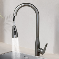 Nouvelle Arrivée Robinet Mélangeur Facile à Installer avec Douchette Extensible en Acier Inoxydable 201 pour Évier de Salle de Bain et Cuisine