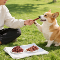 Hadiah Pelatihan Anjing, Camilan Daging Sapi Kubus, Daging Sapi Batangan, Makanan Bergizi, Membersihkan Gigi, Makanan Molar, Camilan Hewan Peliharaan, OEM ODM Label Pribadi