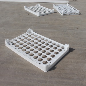 Hot <strong>Selling</strong> <strong>Plastic</strong> Egg <strong>Tray</strong> 60 Holes <strong>Plastic</strong> Egg Packing <strong>Tray</strong> Wholesale Price <strong>Plastic</strong> Chicken Egg <strong>Tray</strong> Incubator Hatching <strong>Tray</strong> - Product Image 2