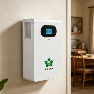 Sistema Solare All-in-One 51.2V 15kWh con Batteria al Litio LiFePO4 48V 16kWh 10kWh per Accumulo Energetico Domestico - Product Image 1