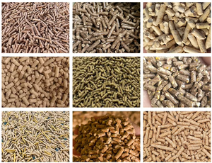 Neue Granuliermaschine mit 90-120 kg/Stunde Kapazität für Kleinbetriebe zur Herstellung von Tierfutter, Mini-Pelletmaschine mit Legierungselektromotor - Product Image 4