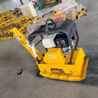 Compacteur à plaques hydraulique à performance stable avec moteur en option pour la construction routière