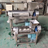 Presse-agrumes automatique à vis pour ananas, pastèque et banane, presse-agrumes électrique industriel, réduction sur les commandes en gros