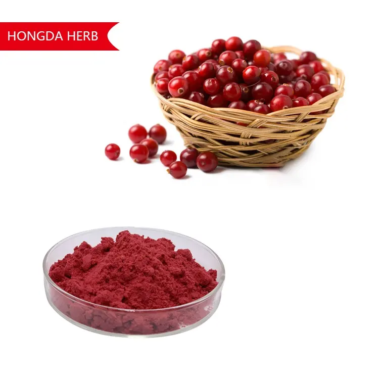 Factory Supply High Quality Food Grade 99% Cranberry Powder Cranberry Juice Powder