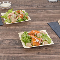 Plateau de service jetable en bois de peuplier naturel, forme bateau, grain de bois, écologique, compostable, pour sushi, traiteur de croisière, qualité supérieure