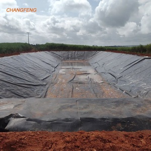 Doublure <span class=keywords><strong>de</strong></span> géomembrane HDPE EPDM/LDPE en plastique renforcé <span class=keywords><strong>de</strong></span> 1.5mm 2mm pour décharge artificielle <span class=keywords><strong>de</strong></span> ferme <span class=keywords><strong>de</strong></span> crevettes <span class=keywords><strong>de</strong></span> lac - Product Image 4