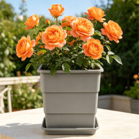 Pots à fleurs carrés en PP légers et durables avec trou de drainage, utilisation intérieure/extérieure, design moderne minimaliste, lot de 21,19 L