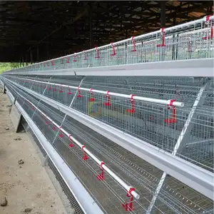 Hot sale 96 128 160 birds 3 4 layers poultry chicken feeding cages
