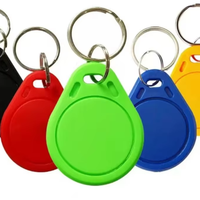 Prix pas cher 125KHz 13.56MHz proximité TK4100 EM4200 EM4305 T5577 RFID porte-clés porte-clés anneau réinscriptible RFID porte-clés étiquette