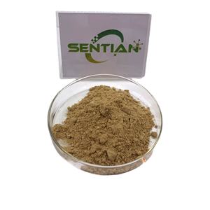 Extrait de plantes extrait de racine Angelica Sinensis meilleur prix extrait d'angélique - Product Image 1