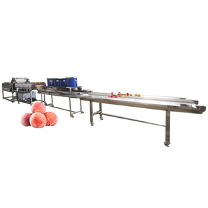 Plantas congeladas Starfruit lavado y línea <span class=keywords><strong>de</strong></span> procesamiento en seco - Product Image 1