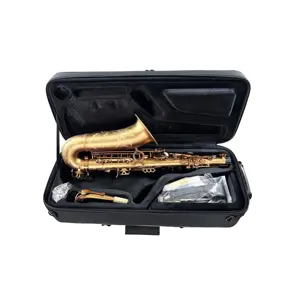 SEASOUND OEM Professional Coffee Matt Alto Saxophone Woodwind Instrument JYAS102CFMT