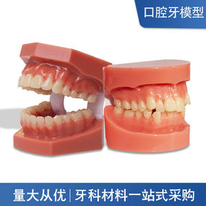 Modèles de démonstration de malocclusion dentaire en PVC pour la pratique orthodontique, moules d'enseignement avec attaches de brackets - Product Image 6