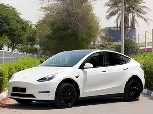 Modelo Y Long Range AWD 2023 de Tesla - Product Image 3