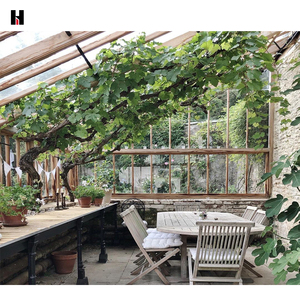 Sunroom in alluminio <span class=keywords><strong>selim</strong></span> profilo free standing per balconi esterni - Product Image 5