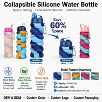 Bouteille d'eau pliable en silicone de qualité alimentaire, anti-fuite, avec couvercle à vis, portable, pliable, pour le sport, avec mousqueton