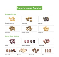 Trieuse automatique de couleur et de forme pour petits CCD, haute précision, pour les haricots et légumineuses de spécialité, favorisant une production durable